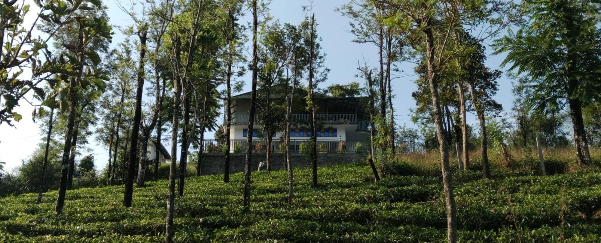 M R Holiday Home فاغامون المظهر الخارجي الصورة